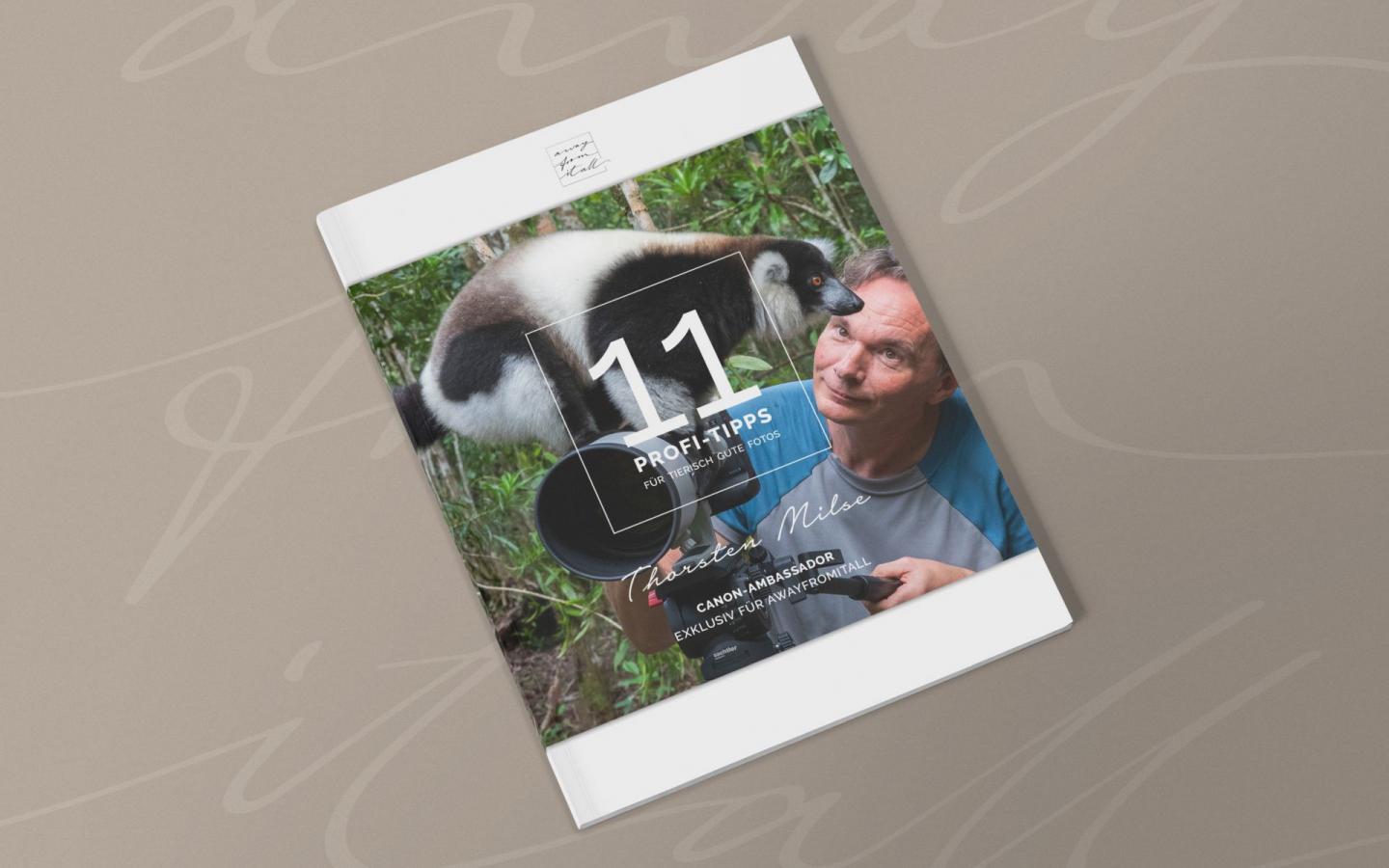 Away WS2 MockUp Landingpage 20 02 04 1920x1280