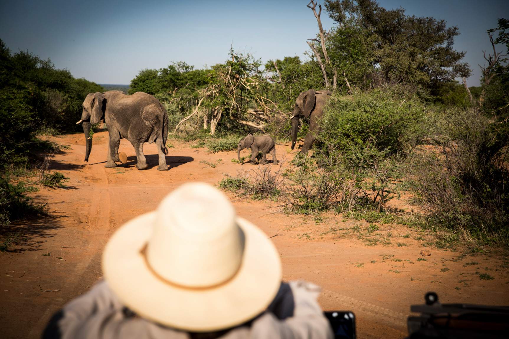 Safari Afrika - Luxussafari awayfromitall