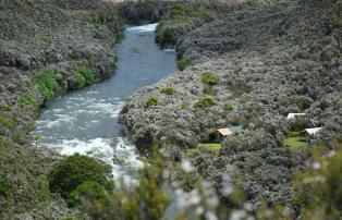 Australien_NZ_Polynesien Neuseeland Nordinsel Rotorua Poronui Lodge safari-camp-