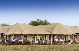 Afrika Tansania Serengeti Central One Nature Nyaruswiga Serengeti Family Tent Pa