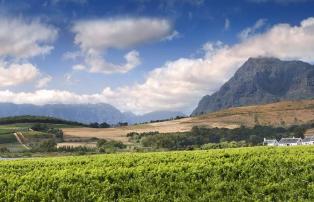 Afrika Südafrika Winelands Babylonstoren A farm all to yourself_1920