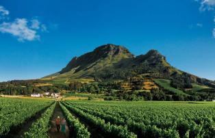 Afrika Südafrika SA Tourism SAT-000-1429G_1920