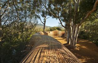 Afrika Südafrika Winelands Babylonstoren 32.The Puff Adder snakes amongst wild o