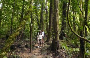 Australien_NZ_Polynesien Australien Queensland Mossman Silky Oaks Lodge Guided R