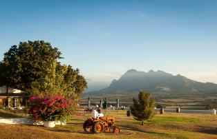 Afrika Südafrika Ilanga_David_Smith Western Cape Winelands 002_DGF6309_1920