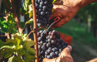 Langhe und Comer See andrea-cairone-lzM3pbQim70-unsplash