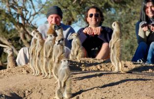 Afrika Südafrika Safari-Lodges Private-Game-Reserve-Tswalu Meerkats (2)_1920