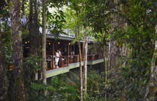 Australien_NZ_Polynesien Australien Queensland Mossman Silky Oaks Lodge 1. Silky