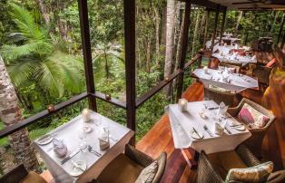 Australien_NZ_Polynesien Australien Queensland Mossman Silky Oaks Lodge 2. Treeh
