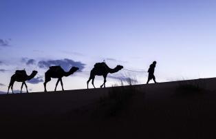 Afrika Marokko TravelLink Marokko_2019 Camel trek Merzouga_1920