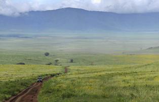 Afrika Tansania Ngorongoro The Highlands The-Highlands-Ngorongoro-in-bloom_1920