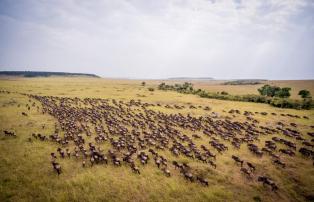 Afrika Kenya Abercrombie Masai Mara GEN006281_1920