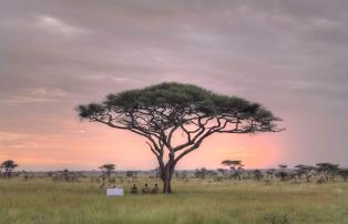 Afrika Tansania Serengeti East Ehlane Plains Camp Nasikia Ehlane 2019-13.1_1920