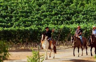 Südamerika Chile Clos Apalta Horse_riding_L