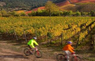 Südamerika Chile Clos Apalta mtb_apalta_lapostolle_L