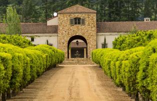 Südafrika_ Stellenbosch Weingut