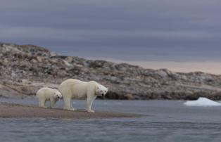 Europa Spitzbergen Visit Svalbard 009736_Sophie Cordon_Visit Svalbard_Longyearby