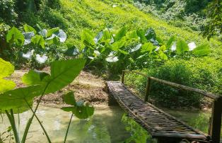 Laos shutterstock Asien_Laos_Kuangsi_NahmDongPark_Trail_shutterstock_1920