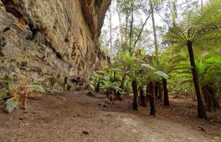 AUS1 Rocktour Wolgan Valley