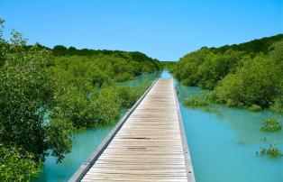 Australien Broome Mangroven Steg