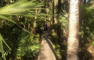 Australien El Questro Hot Springs