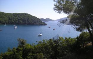Kroatien island mljet