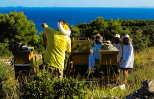 Kroatien Solta - honeymaking