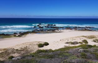 Afrika Südafrika Greater-Overberg Lekkerwater-Beach-Lodge 18De Hoop - Sunny days