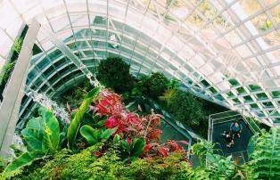 Asien Singapur Singapore - Gardens by the Bay - Dome_1920