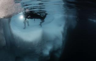 Grönland Schwimmen im Thermosuit