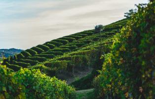 Langhe und Comer See andrea-cairone-53ark9ceU8A-unsplash