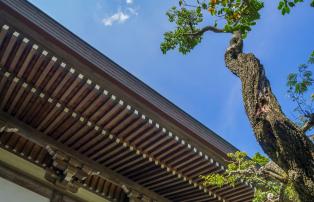 Sanjusangendo Kyoto