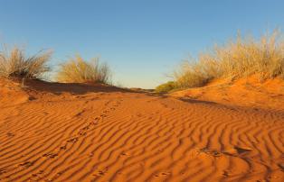 Afrika Südafrika Ilanga_David_Smith Northern Cape Kalahari Holiday 278_D338713_1