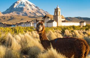 Bolivien Bolivien_unsplash