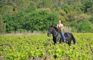 Afrika Südafrika Illanga Tour Wine  4_1920