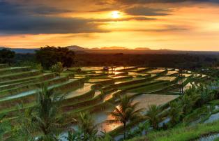 Indonesien shutterstock Asien_Indonesien_Bali_Ubud_Jatiluwih_RiceTerraces_shutte