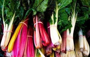 AUS1 Farmers Market Sydney