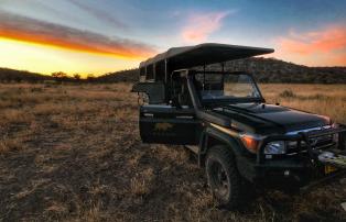 Namibia Ombika Ongava Lodge giraffe_etosha__himraj_soin_3