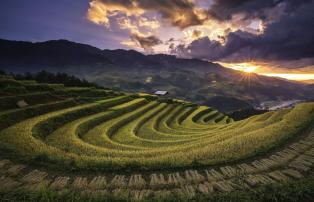 Asien Vietnam Asian Trails Sapa - Ricefields_1920