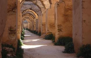 Afrika Marokko TravelLink Marokko_2019 Meknes 3_1920