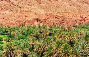 Afrika Marokko TravelLink Marokko_2019 Valley Southern Morocco_1920