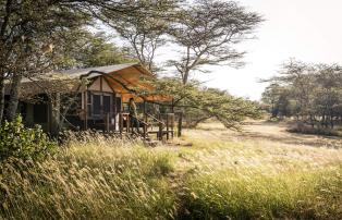 Afrika Tansania Serengeti South Sactuary Kusini Camp SR002188_1920