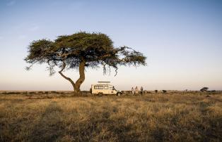 Afrika Tansania Serengeti South Sactuary Kusini Camp SR002189_1920
