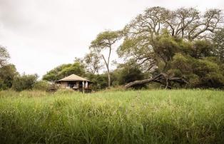 Afrika Tansania Tarangire Sanctuary Swala Camp SR002137_1920