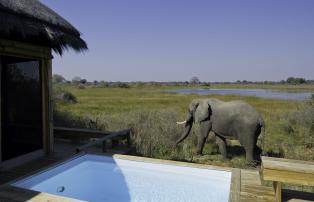 Botswana Okavango Vumbura-Plains Vumbura_Plains_Camp-2011-07-068