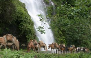 Asien Bhutan Tourism_Council_Bhutan waterfall5_1920