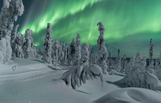 Europa Finnland Business Finland Winter Revontulet tykkymaisemassa_ThomasKast_19