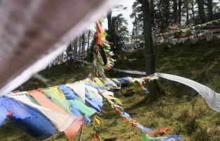 Asien Bhutan Radehose_Ecke AS_ERH_Passhoehe_Gebetsfahnen_im_Wald[1]_1920