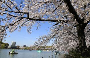 Asien Japan Japan-National-Tourism-Organization l_183217_1920