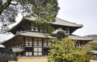 Asien Japan King_Jutta AS_JKI_Nara_Todaiji_Tempel_3[1]_1920